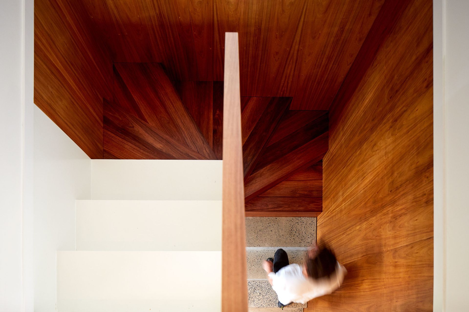Stairs from the entrance and study to the main living area. The timber is Tasmanian Blackwood. Homeowner Alicia helped pour the concrete as she happened to be on site that day.