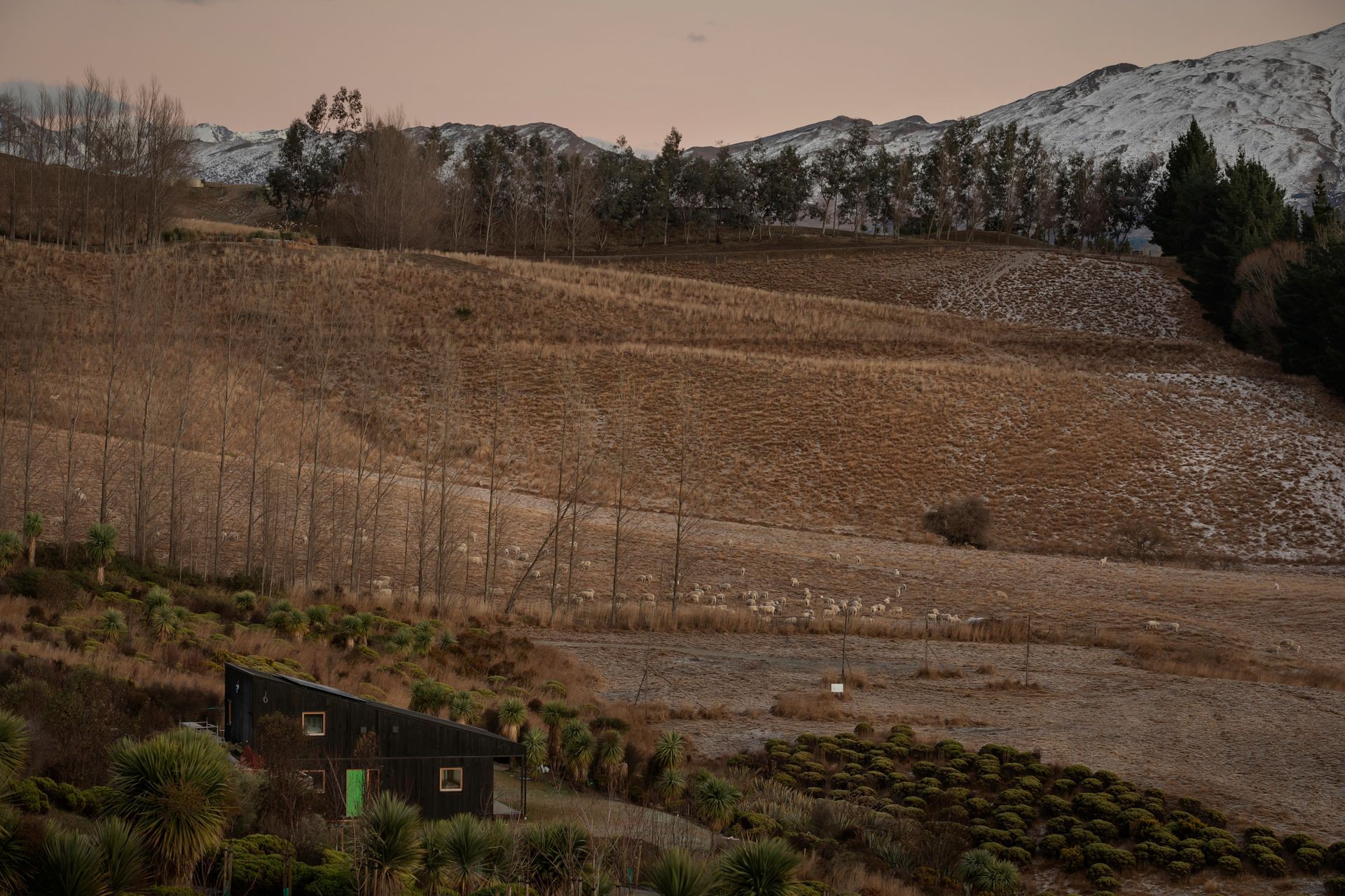 The sheltered, north-facing site overlooks the Southern Alps' snow-capped peaks. On the east side, a green door is a joyful welcome to the lower level, which comprises the main house.