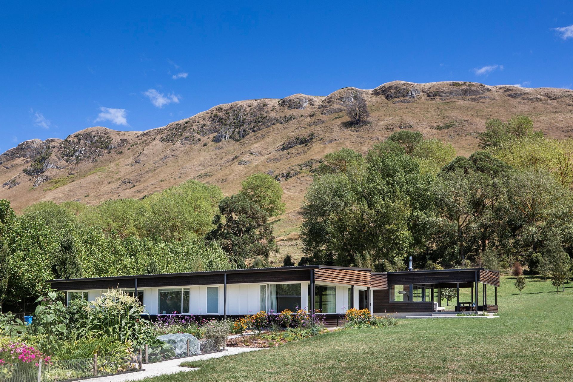 The single-storey house integrates dark and light tones in a loose reference to a magpie bird.
