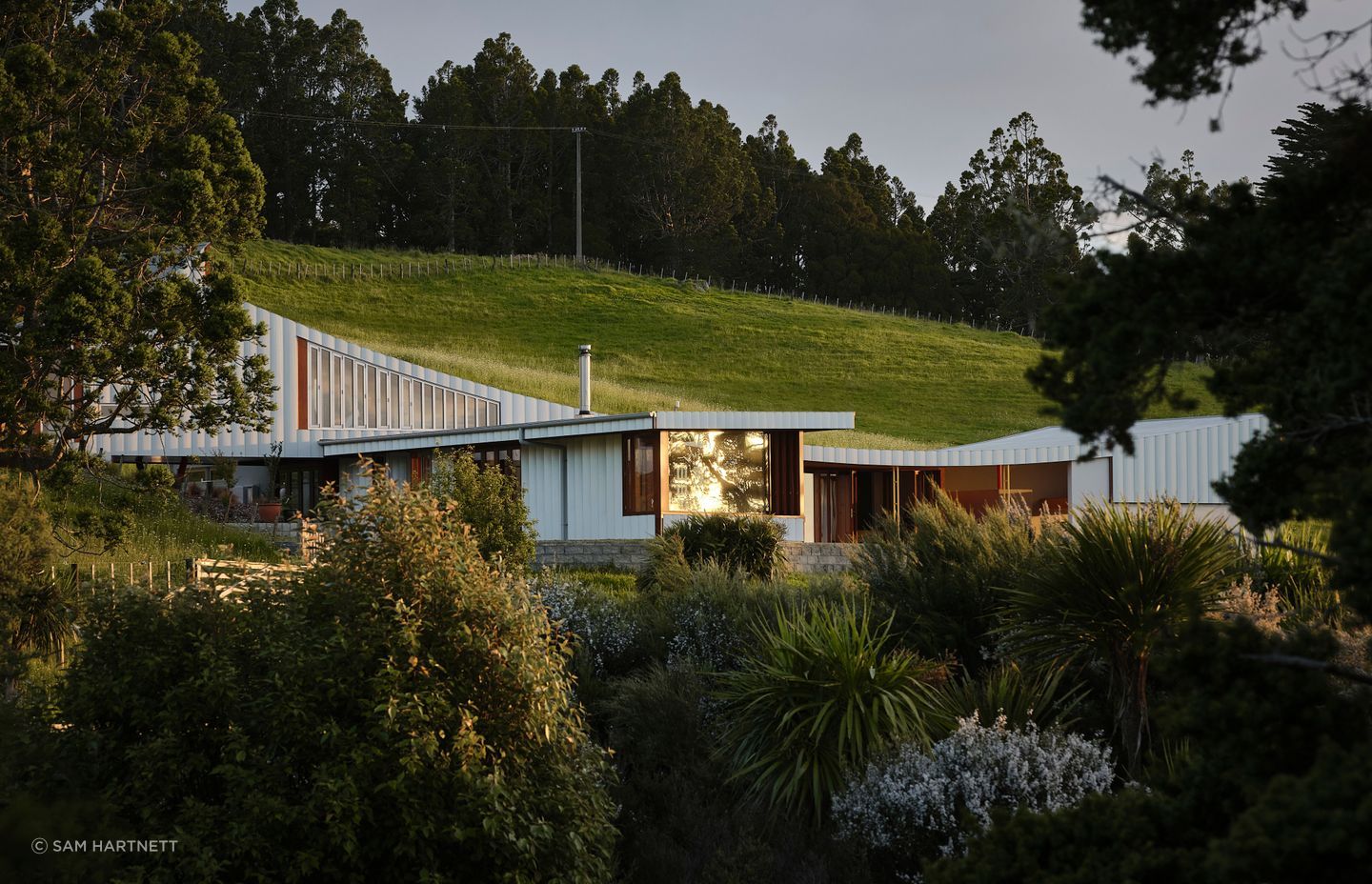The undulation of the surrounding hills was a primary inspiration for the striking curvature of the home's silhouette.