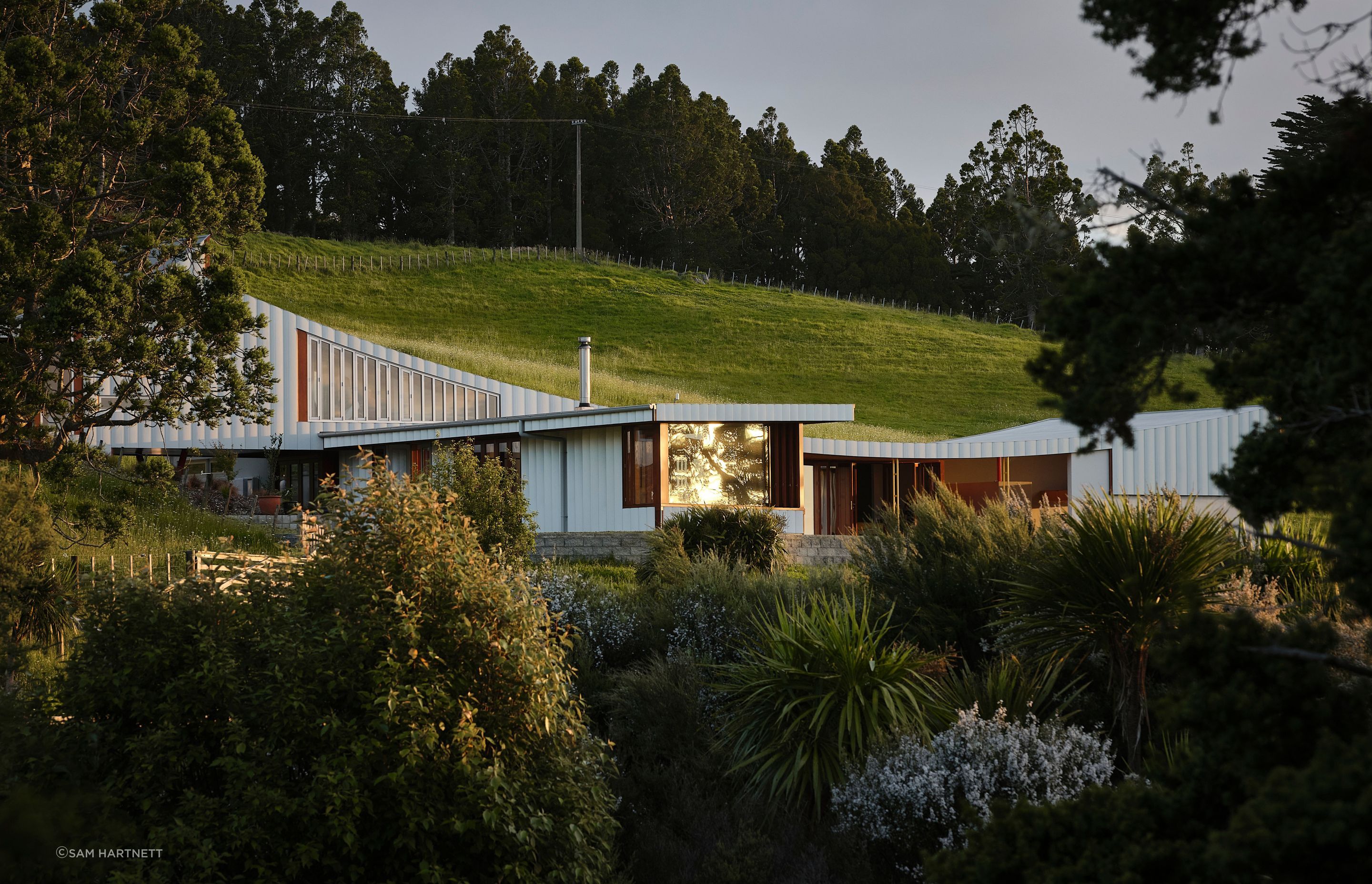 The undulation of the surrounding hills was a primary inspiration for the striking curvature of the home's silhouette.