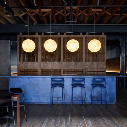 A cultivated gin emporium and bar offer a sensory experience in Surry Hills