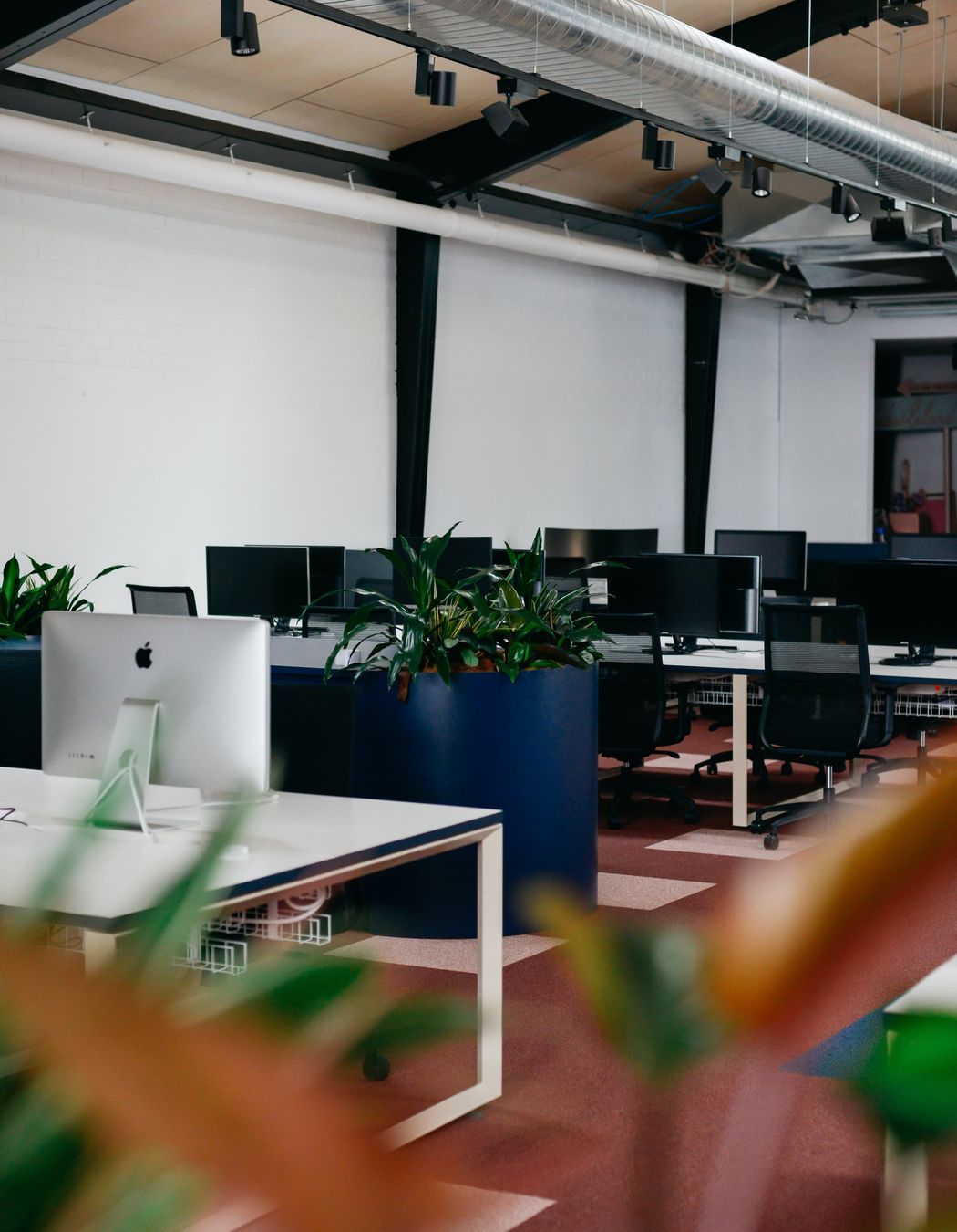 Frank Body and Willow &amp; Blake by Made For | Photography by Bobby Clarke