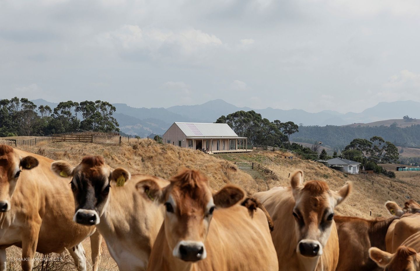 Karangahake House — at one with all its surroundings. — Photography: David Straight.