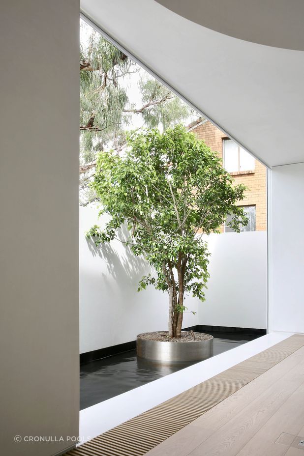 A little island with a tree growing in it in the pool is a whimsical touch.
