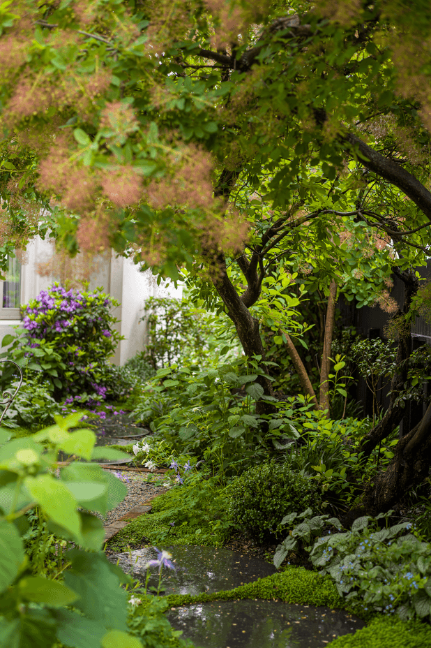 Lush, verdant soft landscaping elements help make the garden feel aged and lived in.