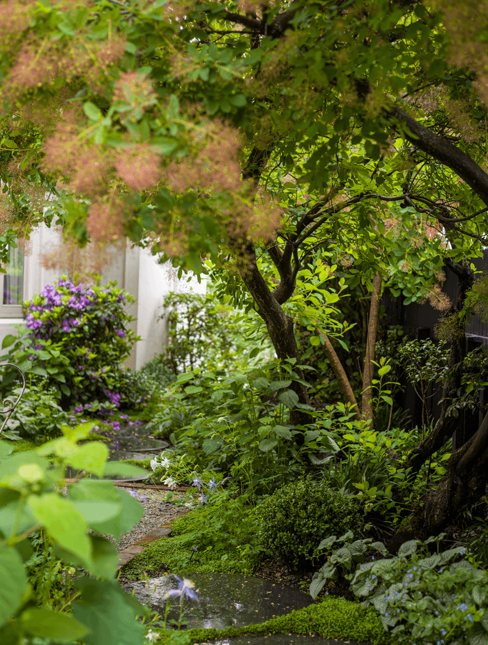 Lush, verdant soft landscaping elements help make the garden feel aged and lived in.