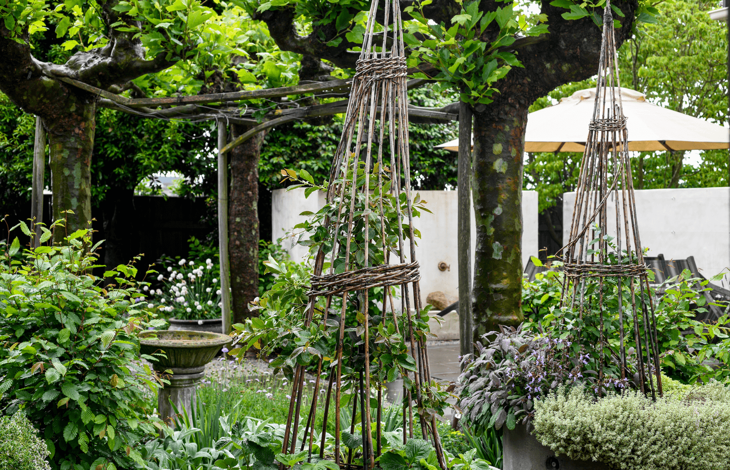 Espaso Verde makes regular visits to Southland Home to maintain the garden.