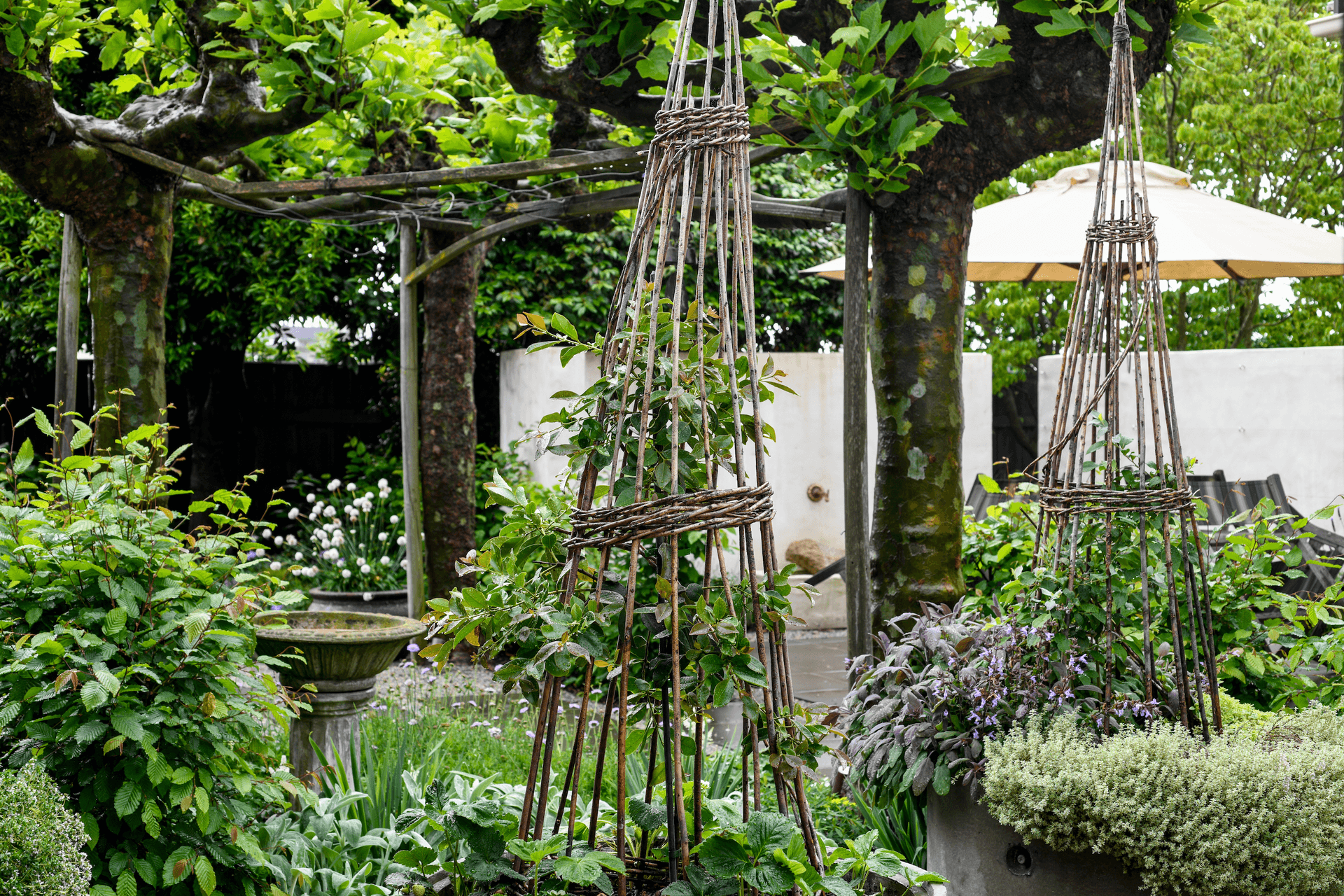 Espaso Verde makes regular visits to Southland Home to maintain the garden.