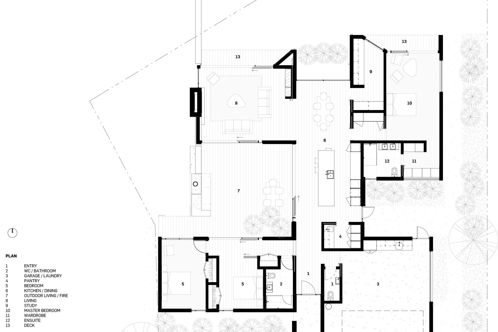 Takahē House: how a piece of driftwood inspired a seaside architectural marvel