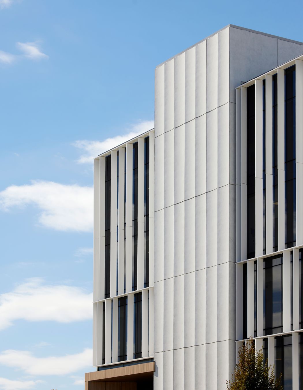 The exterior louvres are functional, carefully allowing natural light into the building's office spaces.