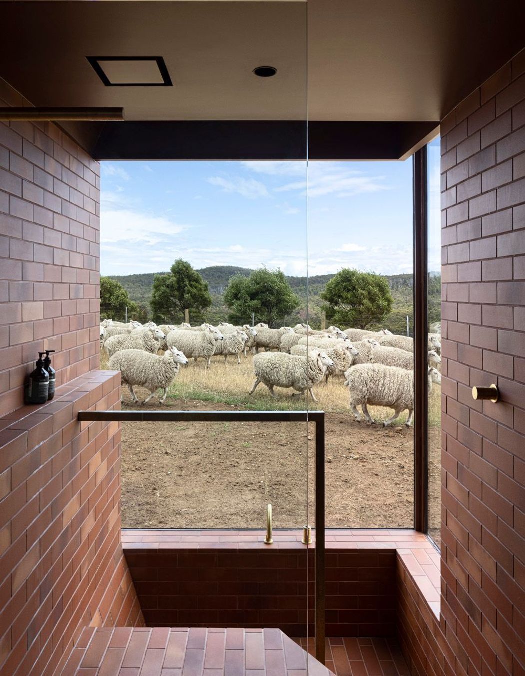 Coopworth, Tasmania by FMD Architects | Photography by Dianna Snape