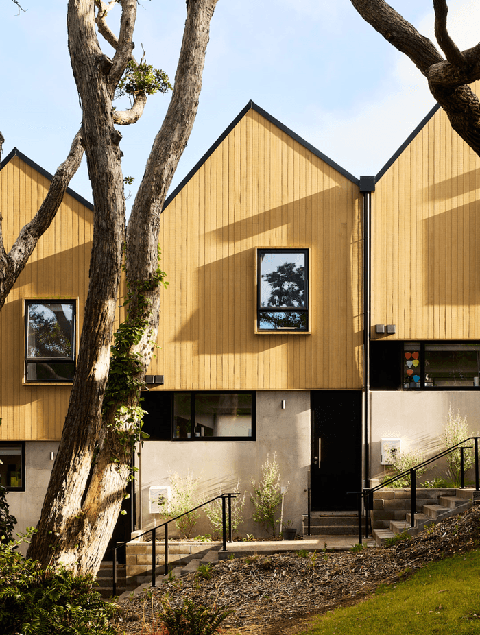 Ancient pohutukawas were retained and enhance the setting.