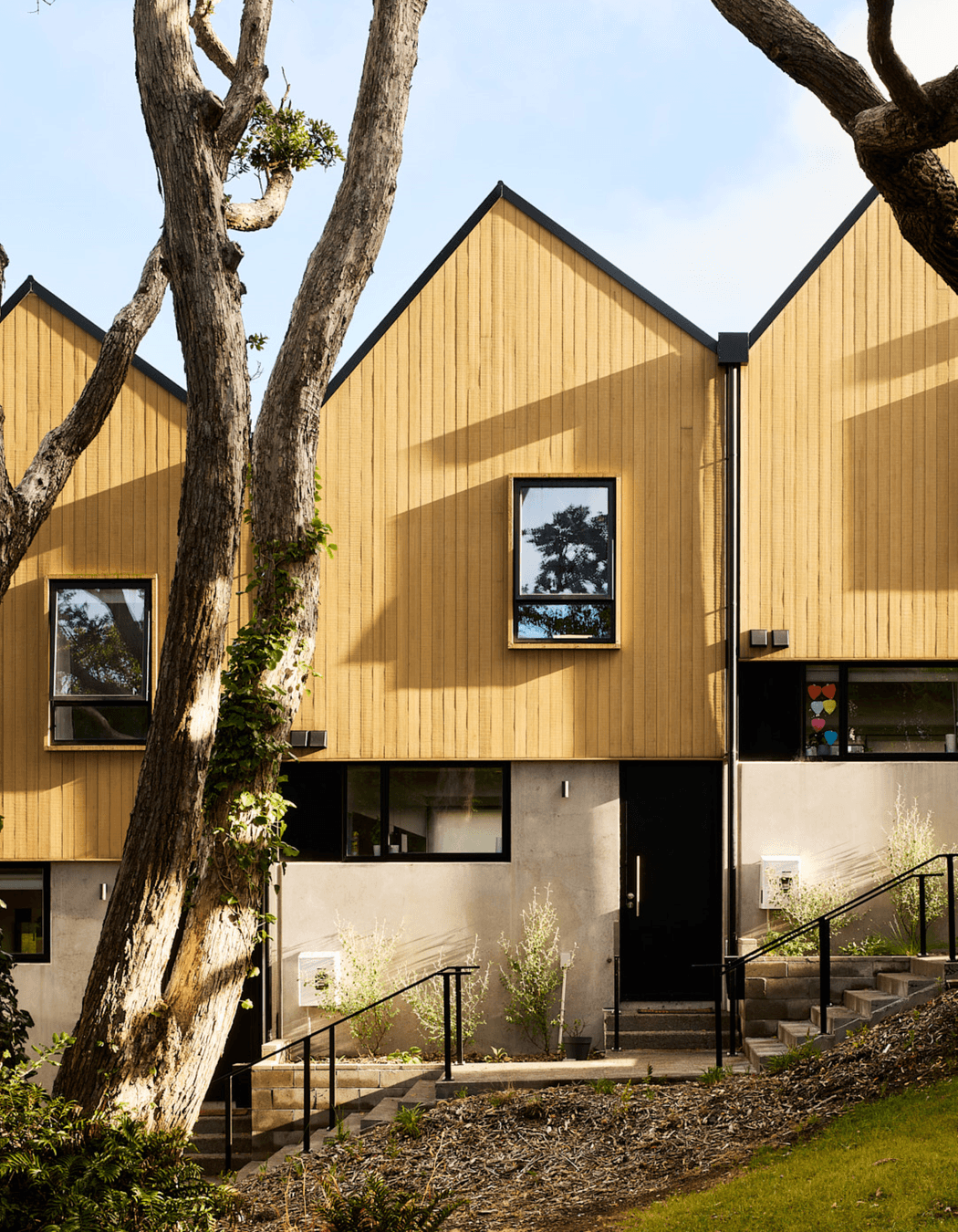 Ancient pohutukawas were retained and enhance the setting.