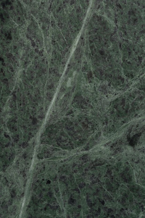 Verde Alpi polished marble tiles in Green by Lux Marble