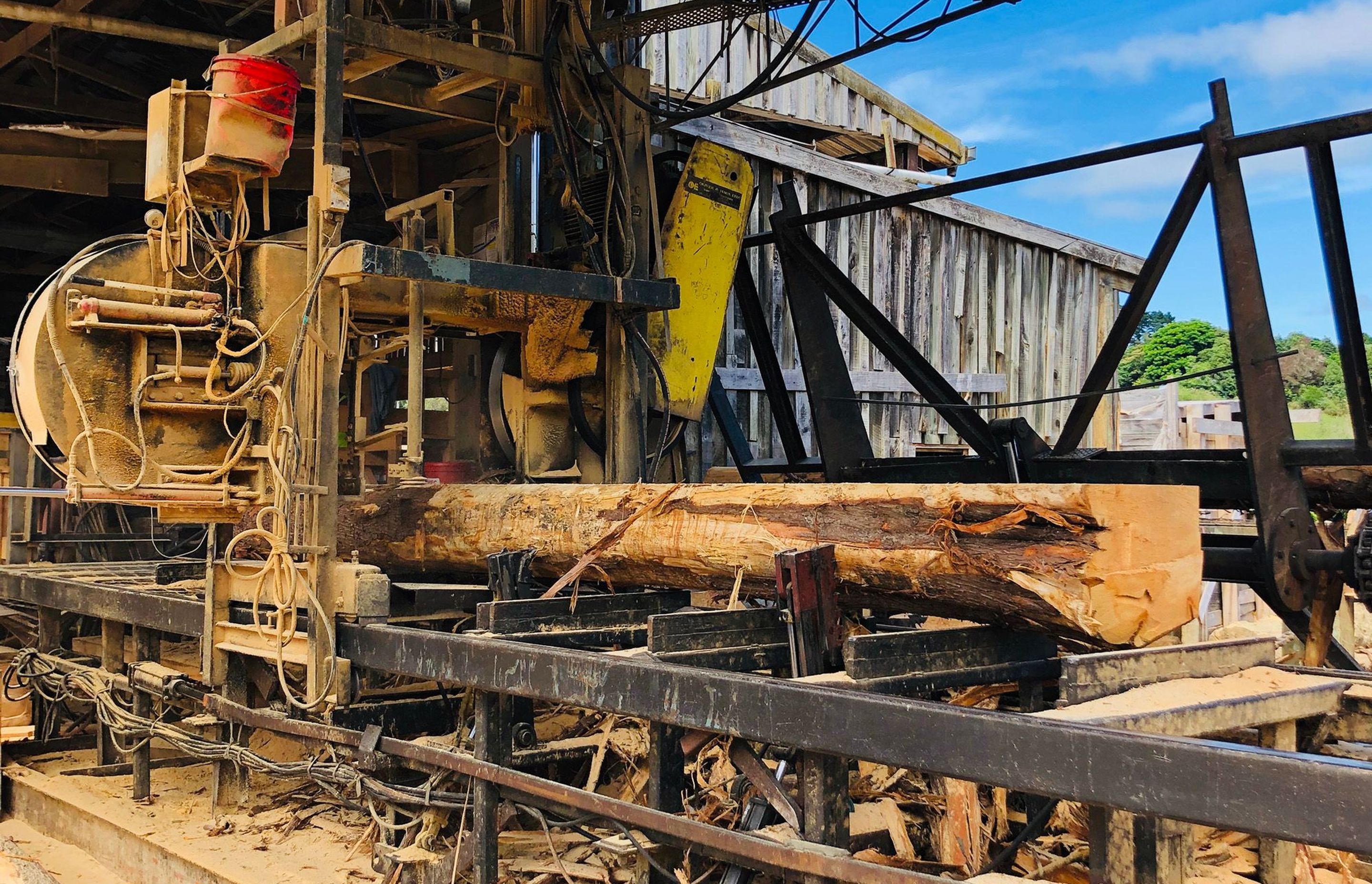Processing a Macrocarpa log at the MacDirect mill in Franklin, South Auckland.