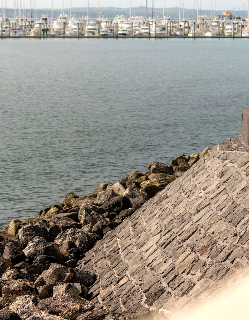 Tamaki Drive sea wall