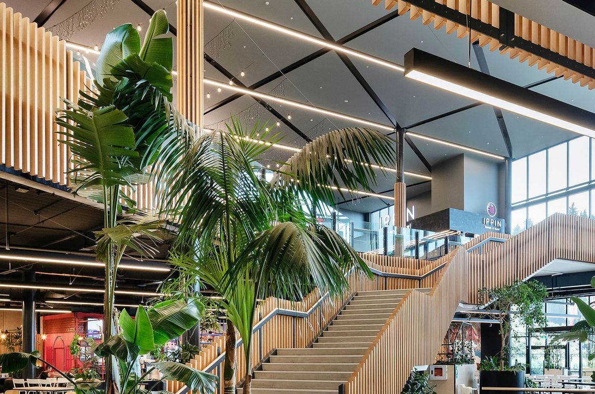 Project Timber: Tauranga Crossing