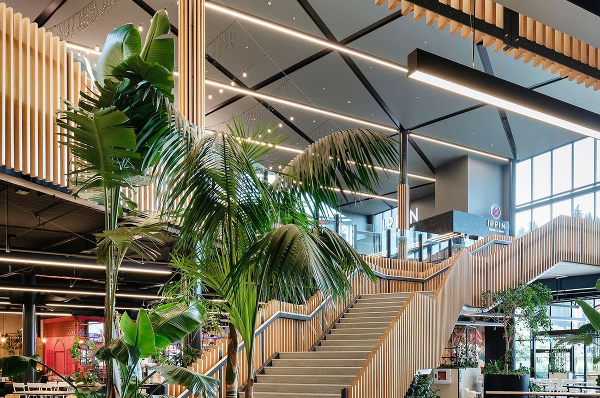 Project Timber: Tauranga Crossing
