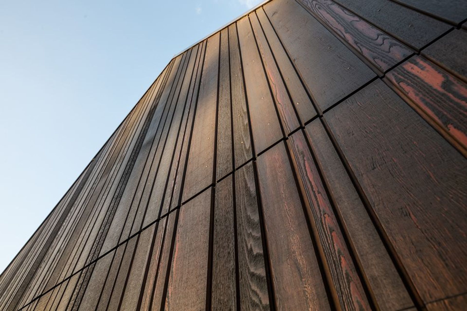 The cabins have clarity in form and structure, clipped geometry, and dark cedar cladding and roofing, enabling them to sit quietly but firmly against their green surroundings.