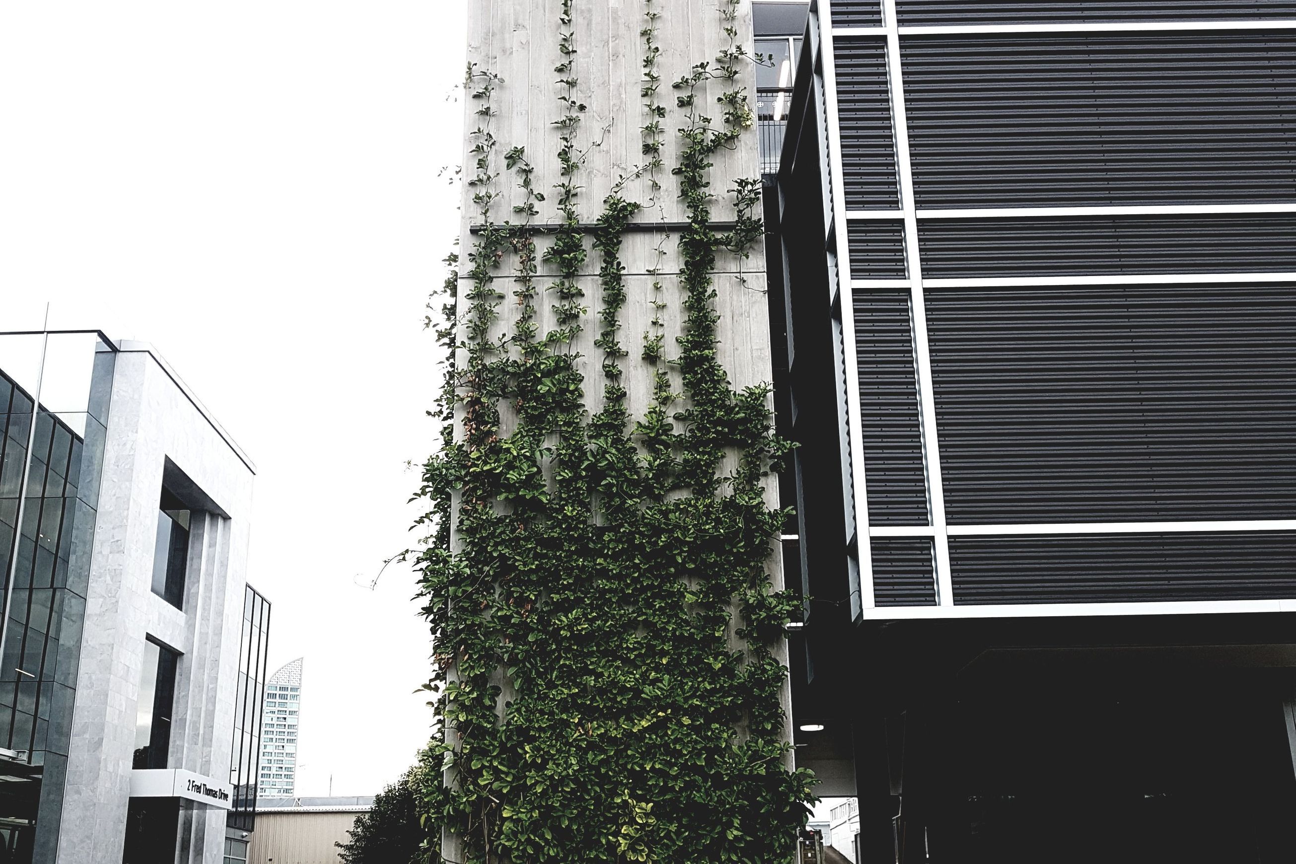 SRS Green Facades | Screens