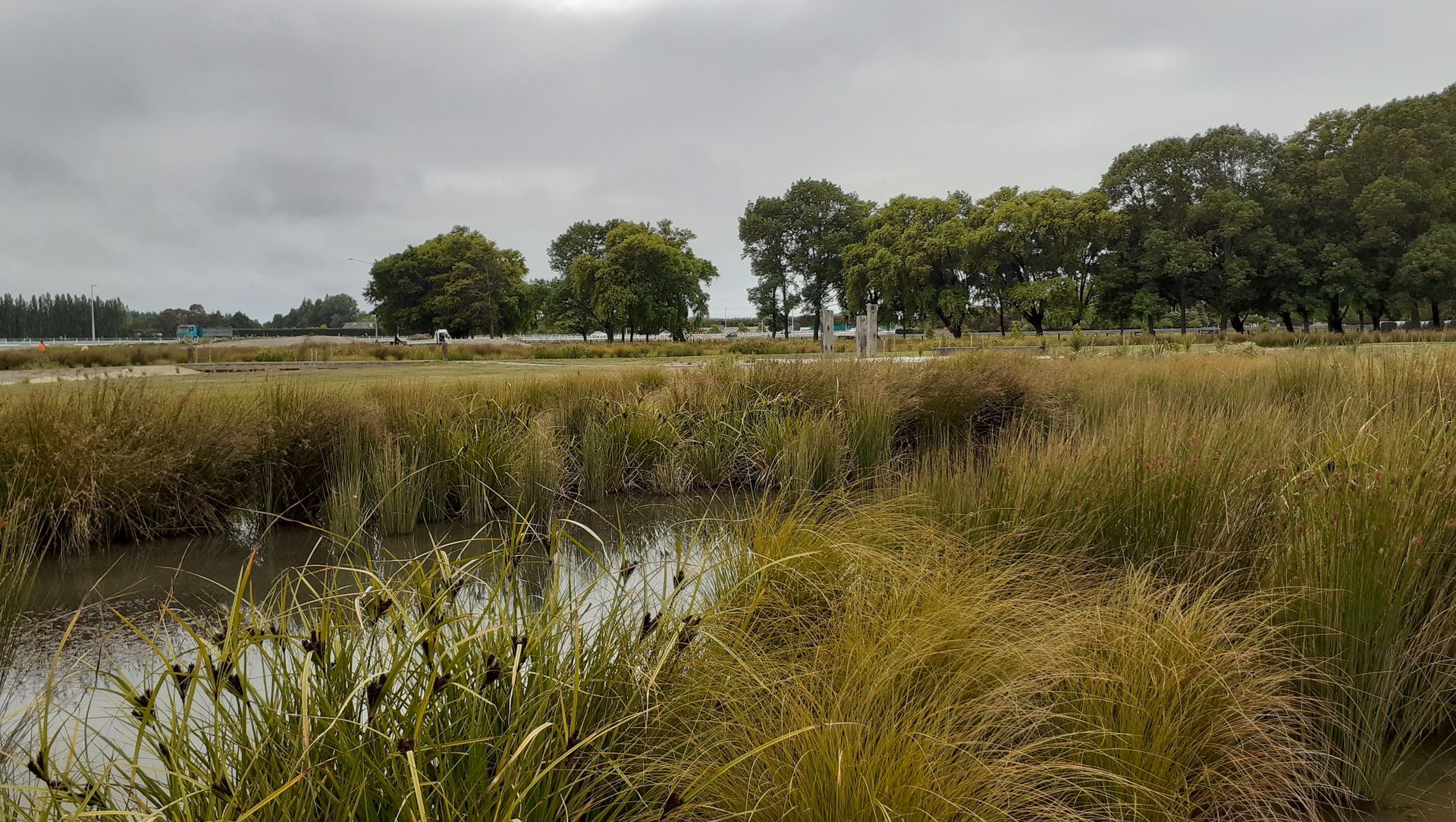 Buller Stream Stormwater Facility  banner