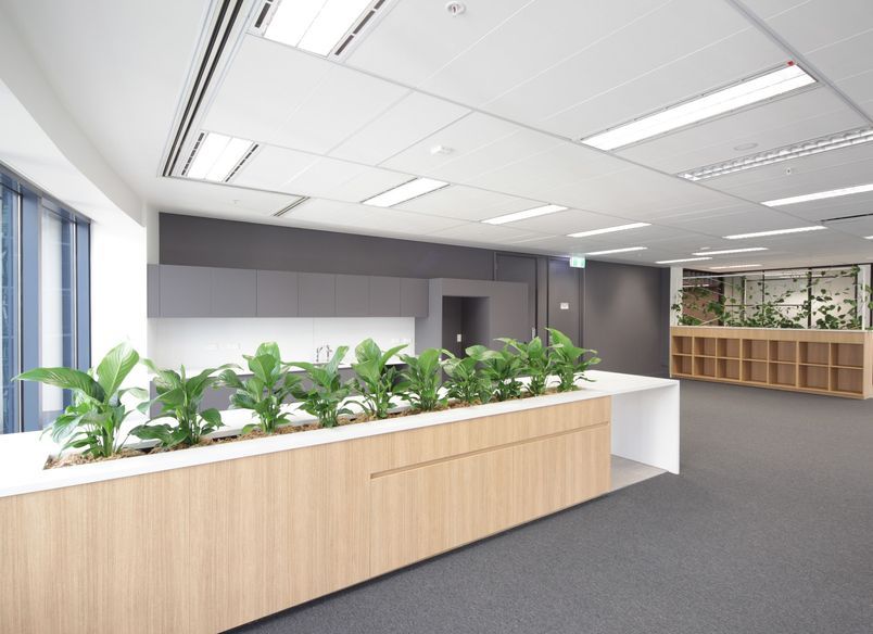 205 Queen St | Show Suite