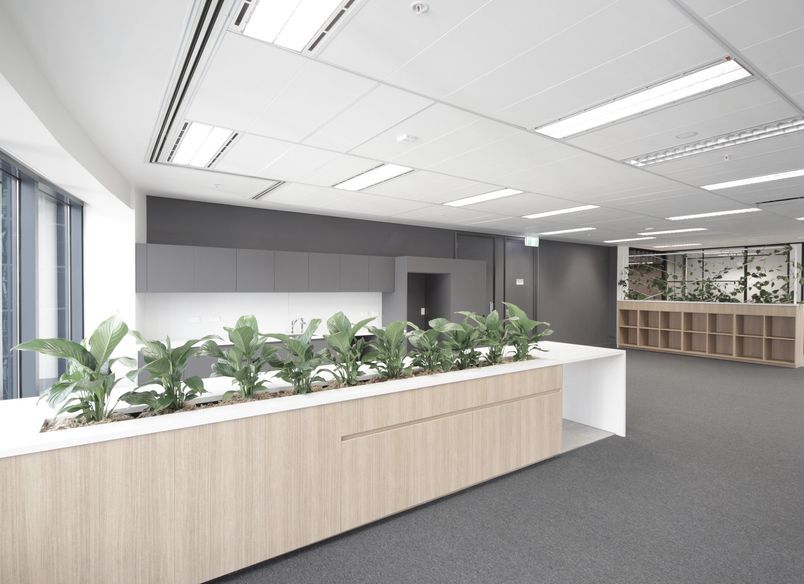 205 Queen St | Show Suite