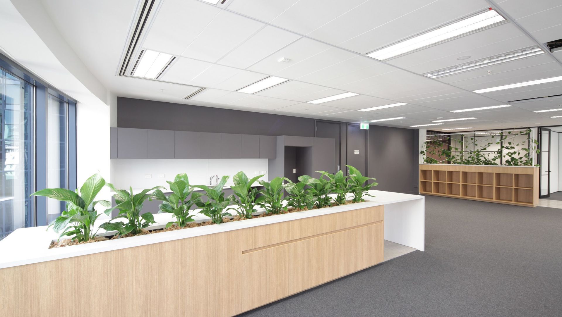 205 Queen St | Show Suite banner