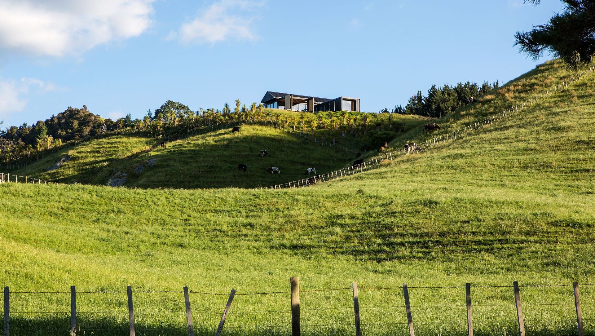 Hikuai Hill House banner