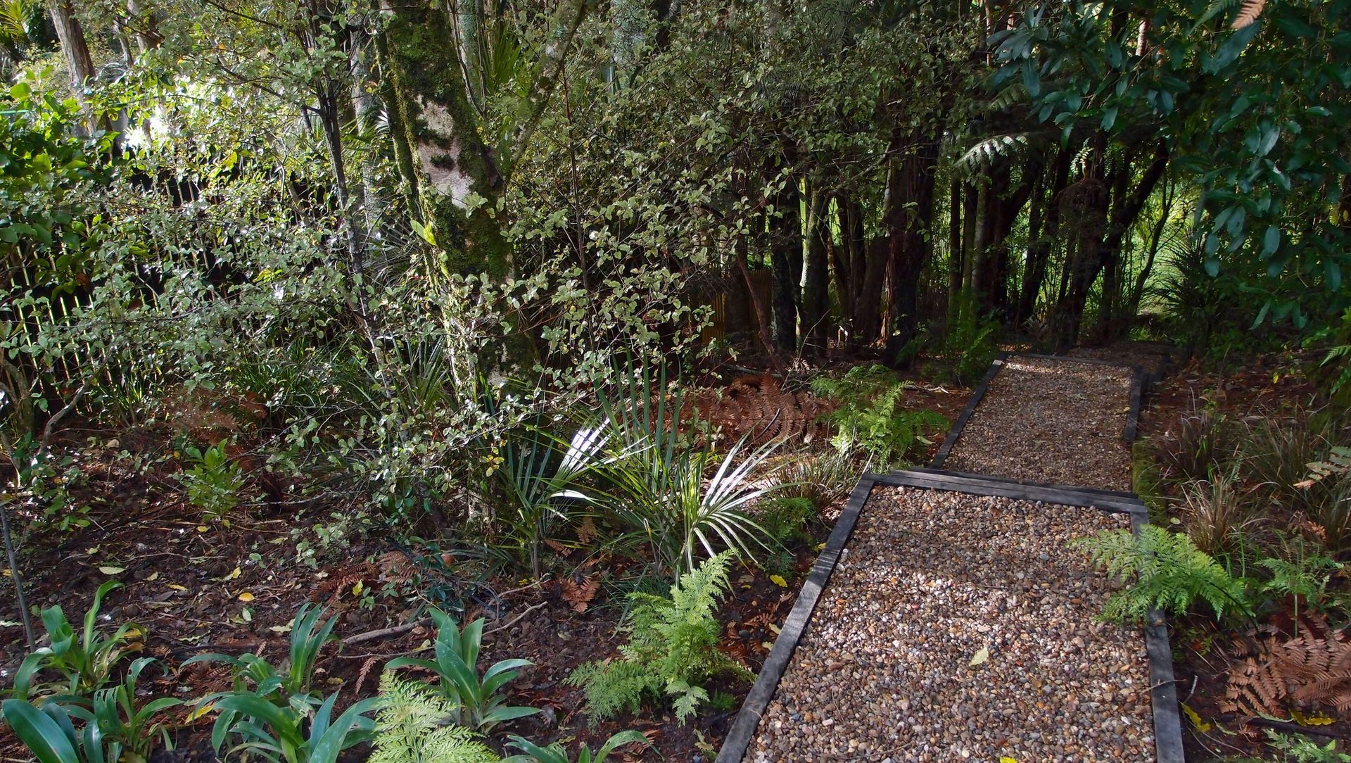 A simple gravel path leads down to the stream through the established bush, underplanted with native ferns and ground layer plants
