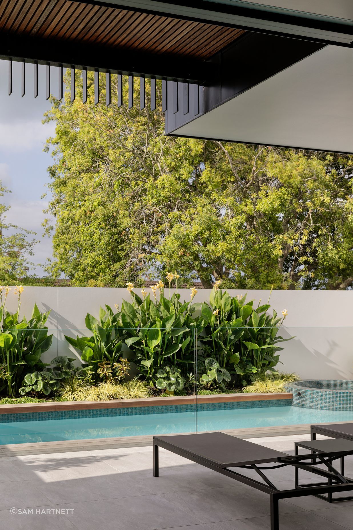 The upper storey cantilevers over the pool area, providing shade to the front courtyard.