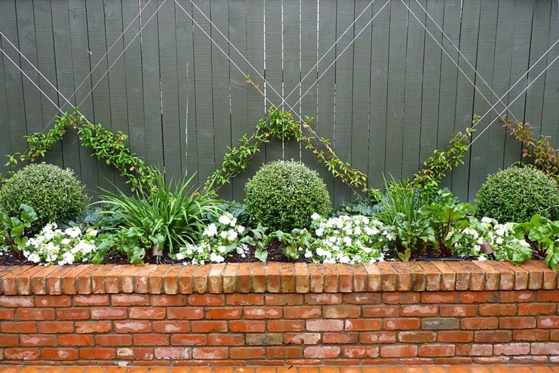 Jasmine espalier in a mixed native, flower &amp; vegetable garden, new brick retaining, Kelburn.