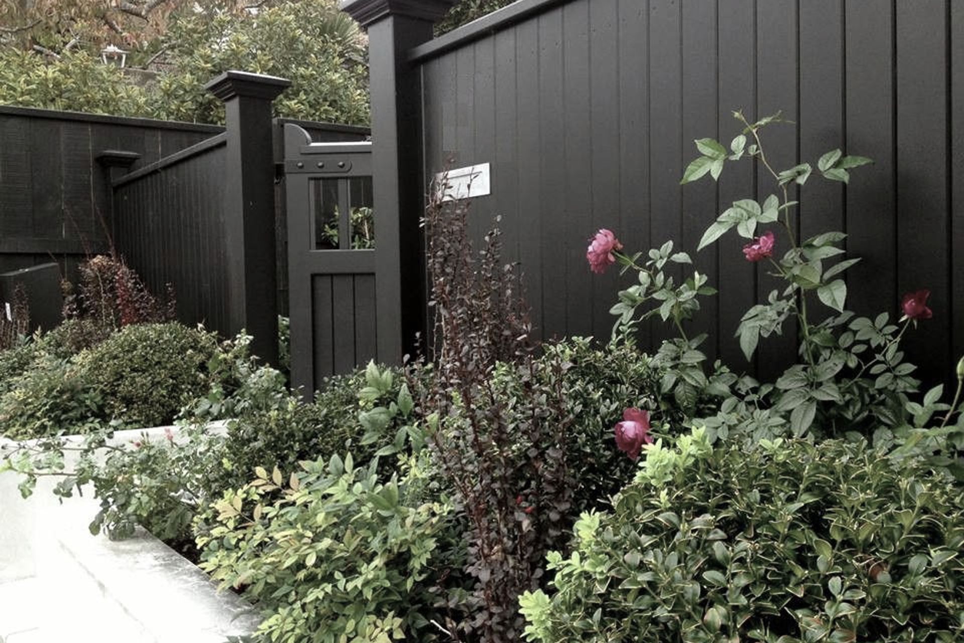 Front entrance &amp; gardens, concrete paving, plaster block wall &amp; black timber fence, Kelburn