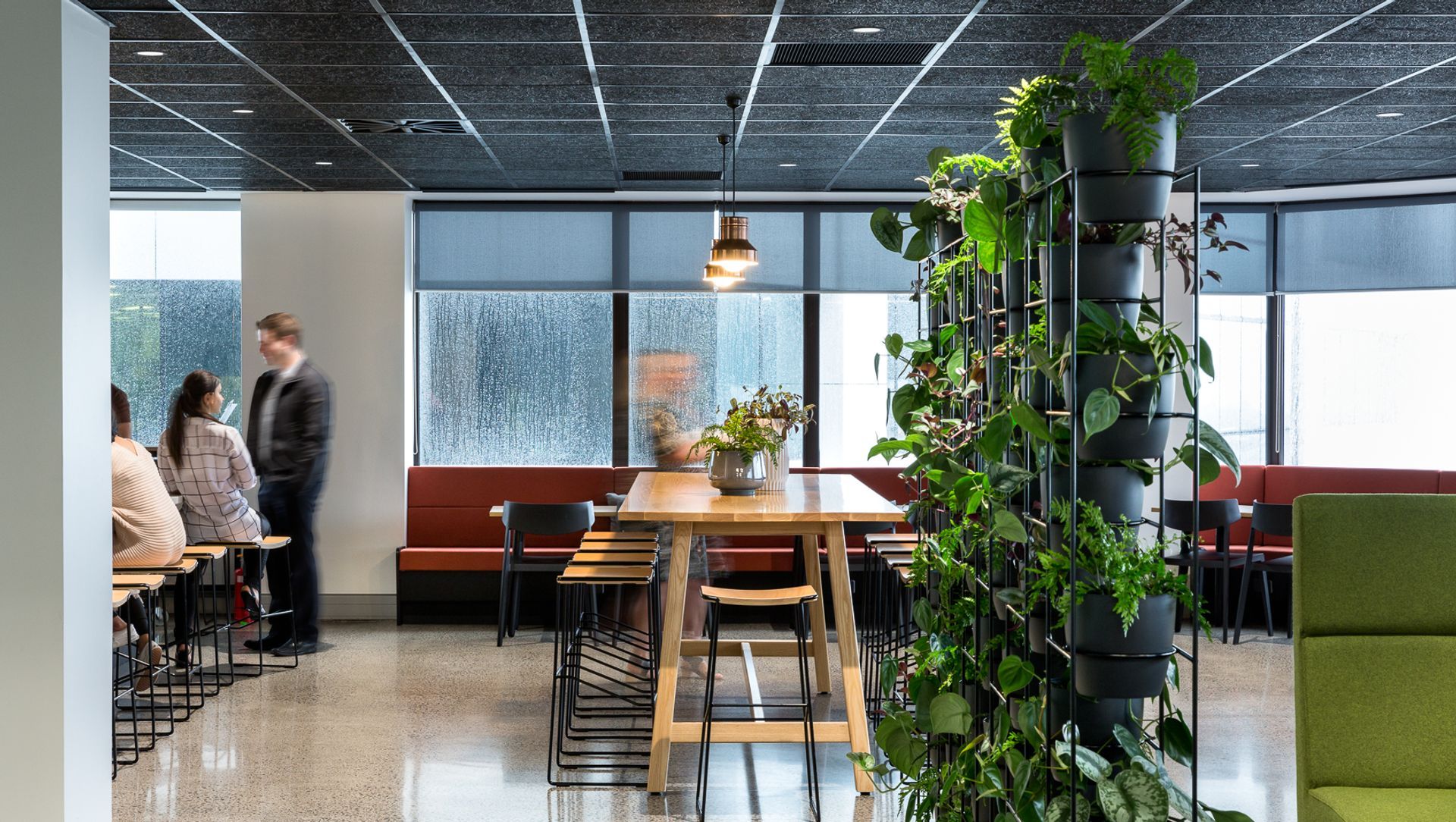 AMP Level 20 Cafe banner