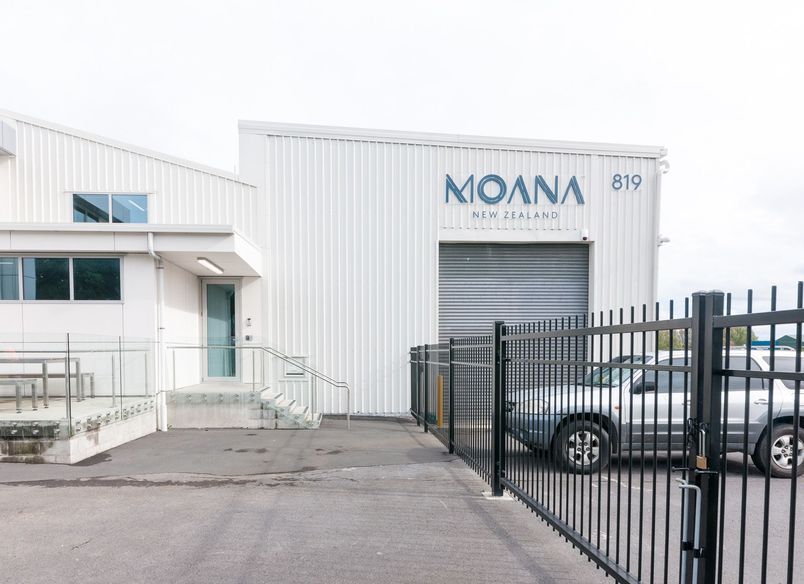 Aotearoa Live Lobster