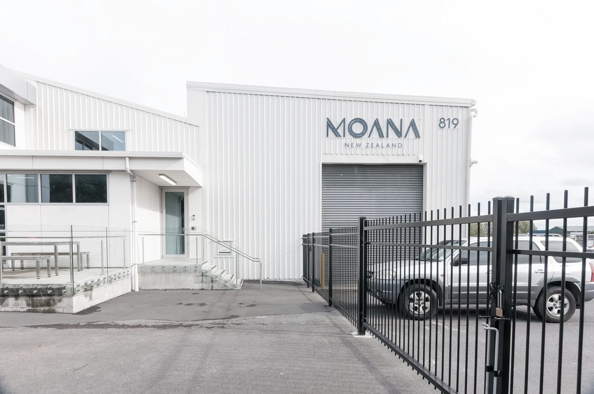 Aotearoa Live Lobster