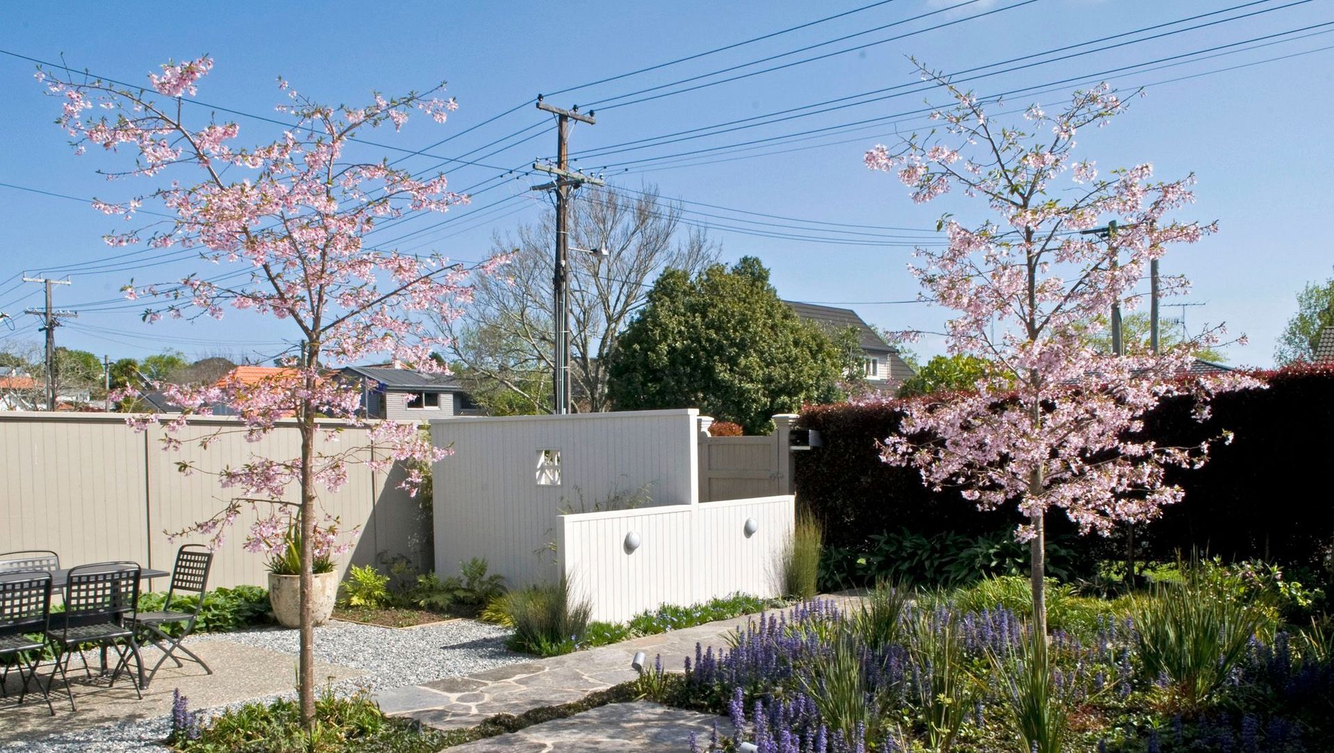 Auckland Courtyard Garden banner