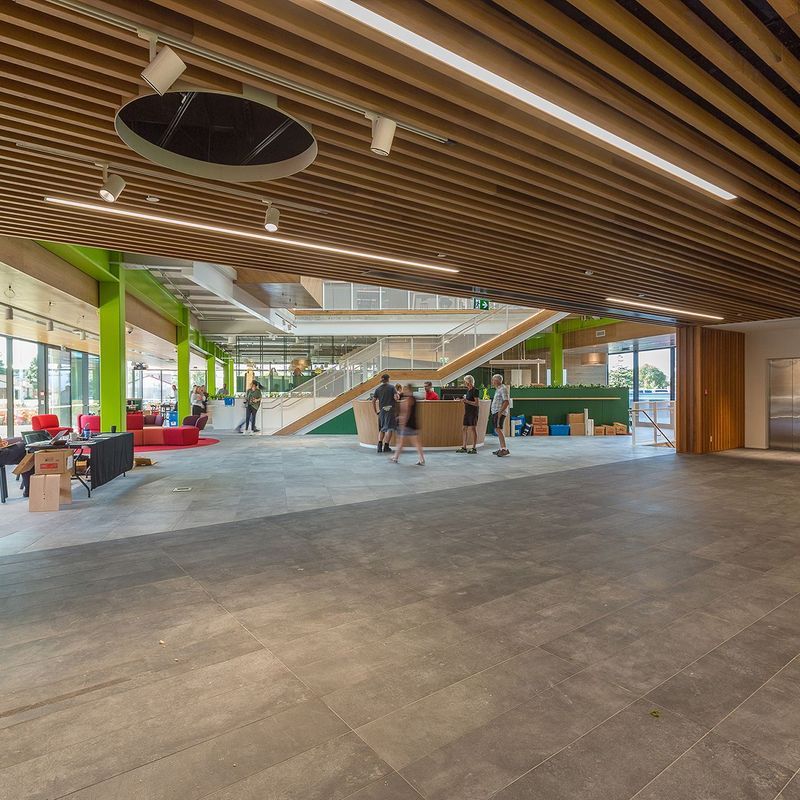 Austratus Clip-In Timber Ceiling and Wall Range