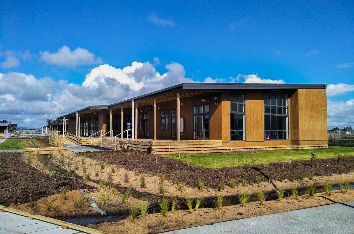 Kauri Flat School