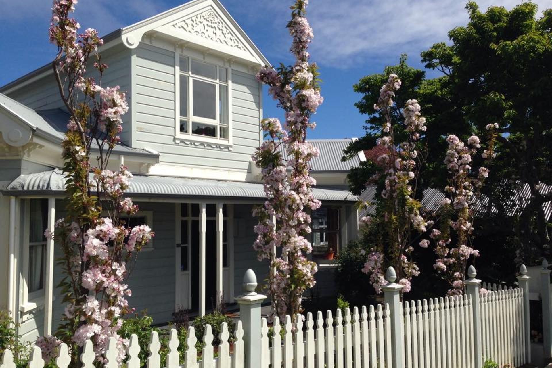Flowering cherry columns