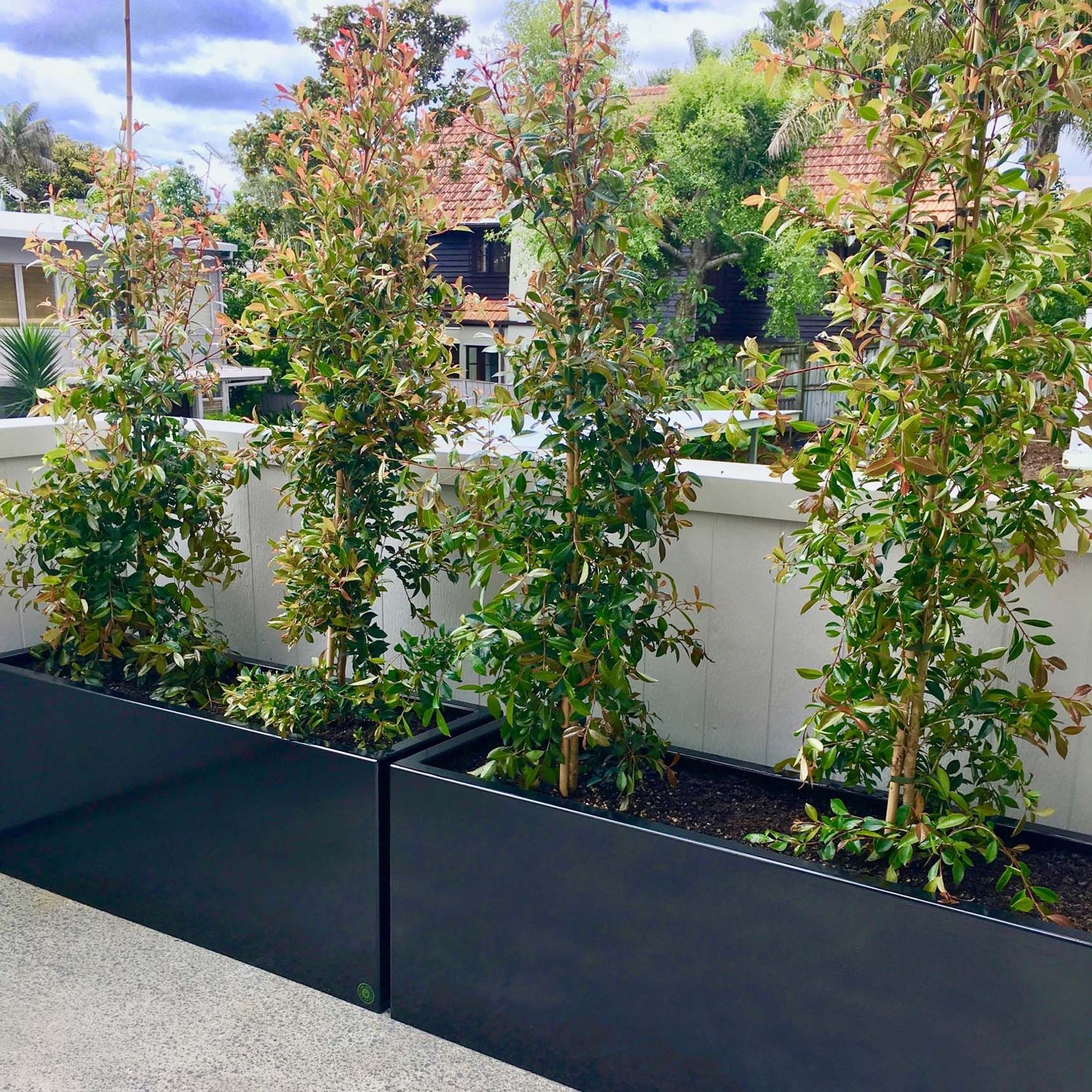 Black Powdercoated Trough 1200 Planter