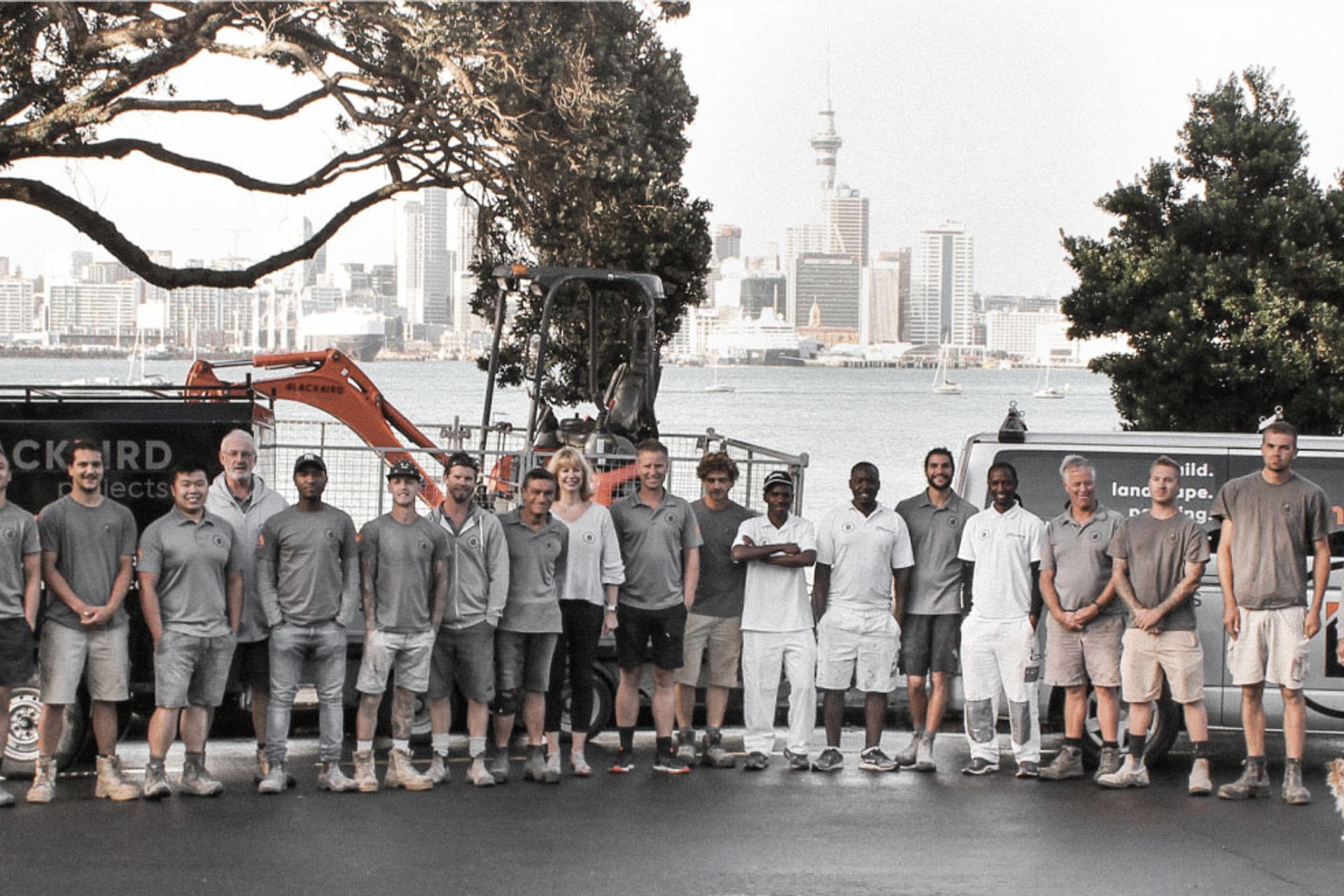 Blackbird Projects banner