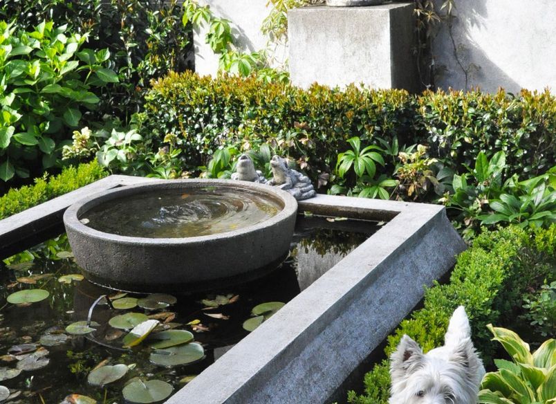 Box Hill, Khandallah