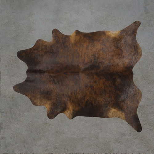 Brazilian Cowhide - Large Assorted