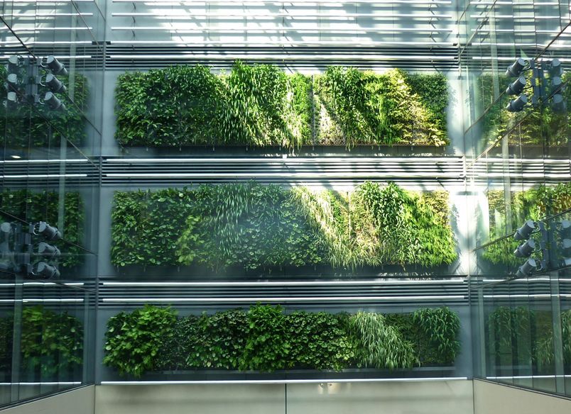 Britomart Green Wall