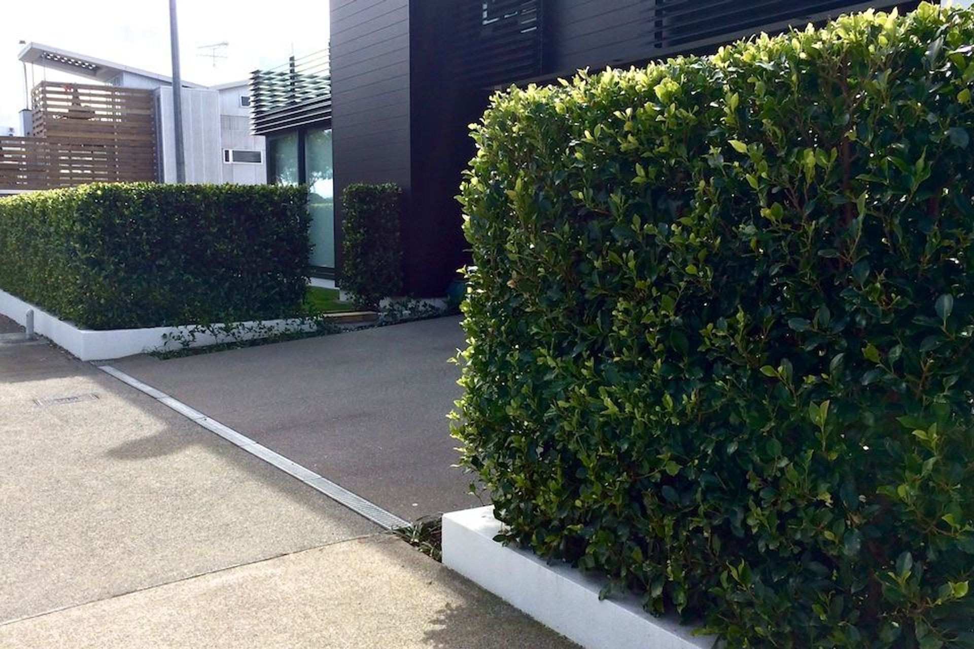Instant privacy and outdoor room created with a Living Screen instant hedge.