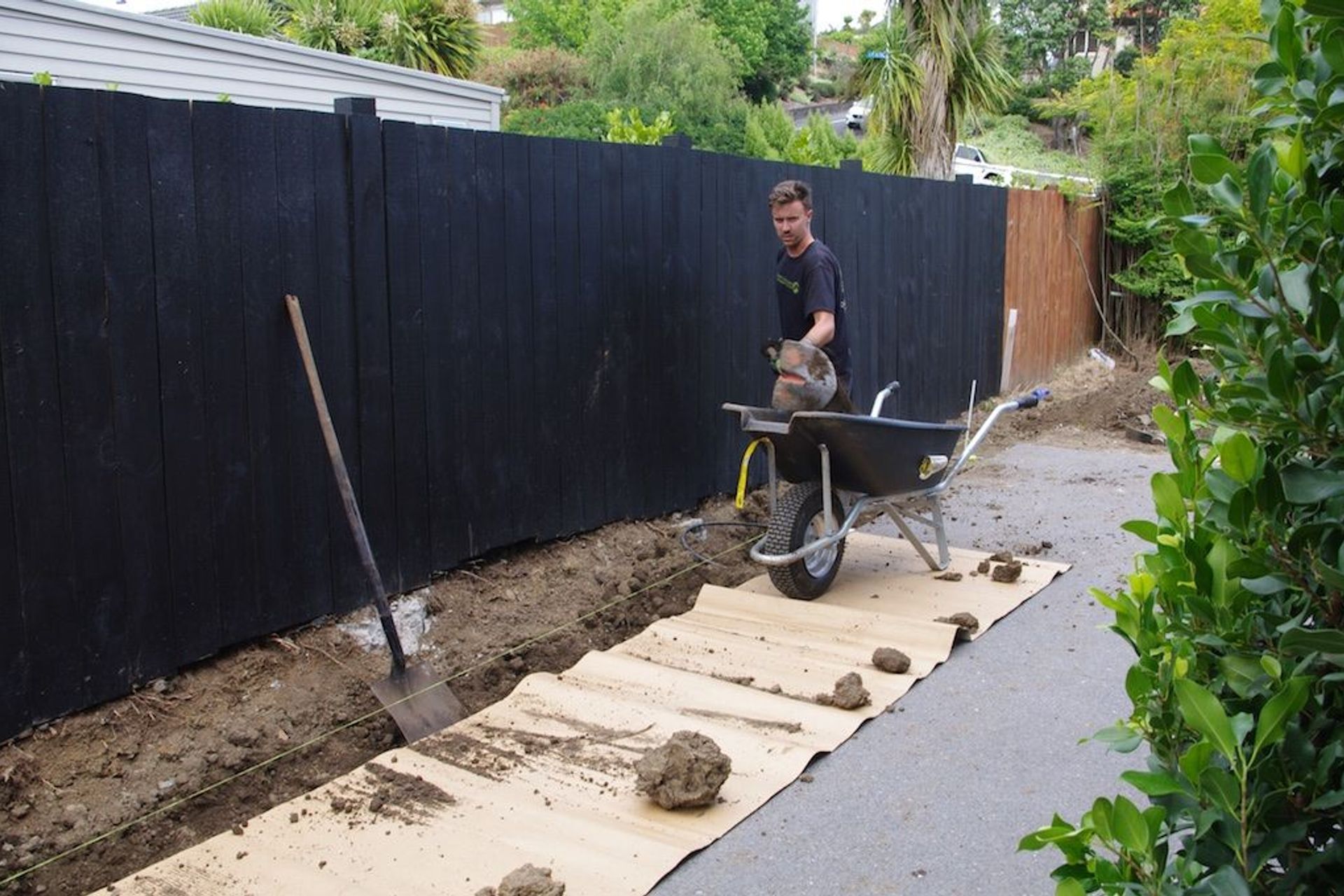 Digging the trench in readiness for the driveway hedge installation.
