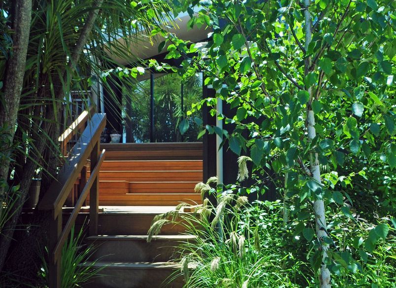 Bush Garden Waitakere