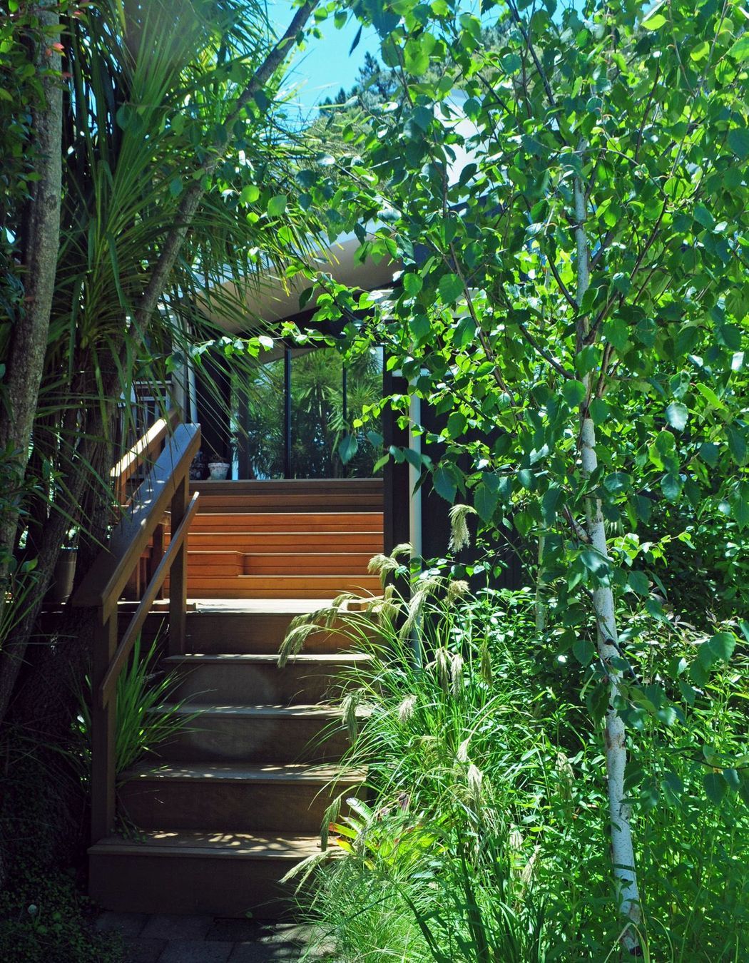 Approach to the house through a glade-like space